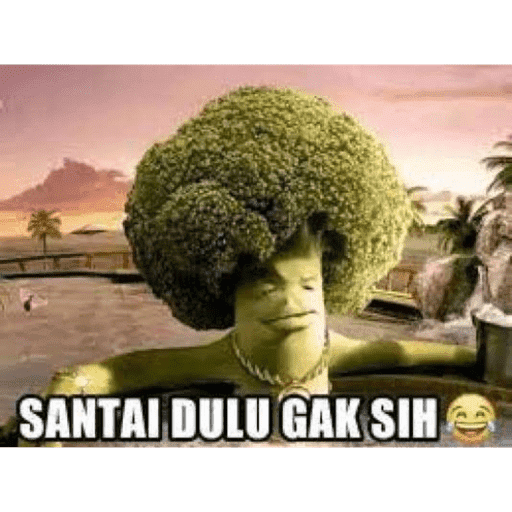 Mbud 22