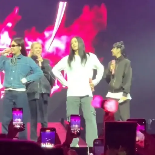  Chicago– BORN PINK WORLD TOUR: 13