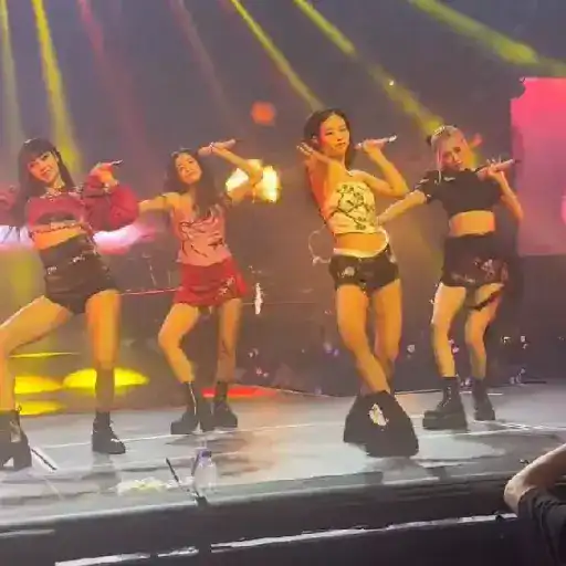  Chicago– BORN PINK WORLD TOUR: 1