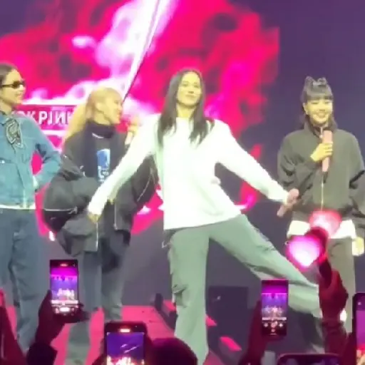  Chicago– BORN PINK WORLD TOUR: 17
