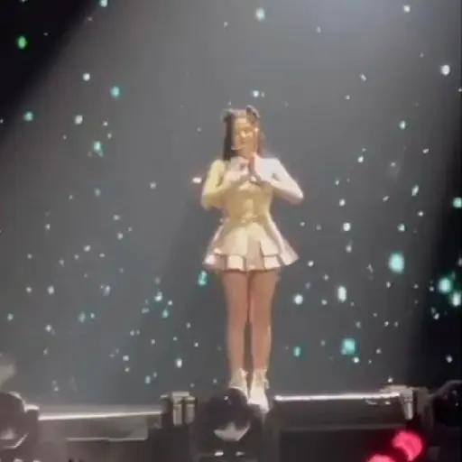 BLACKPINK TOUR DALLAS DAY2 V3 22
