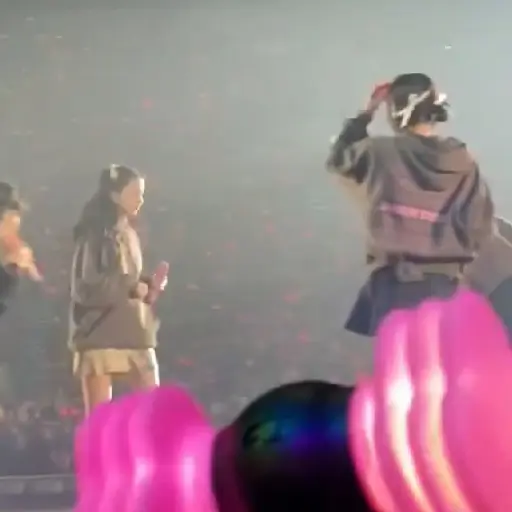Chaennie BLACKPINK TOUR 20