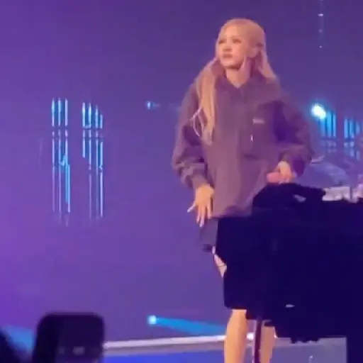 Chaennie BLACKPINK TOUR 26
