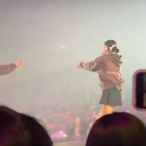 Chaennie BLACKPINK TOUR 19
