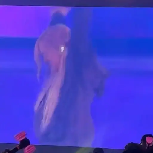 Chaennie BLACKPINK TOUR 24