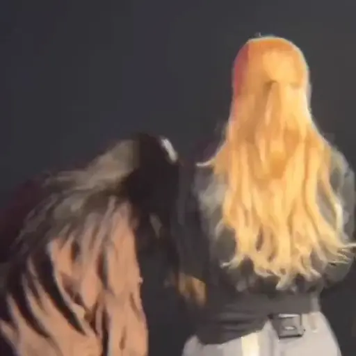 Chaennie BLACKPINK TOUR 2