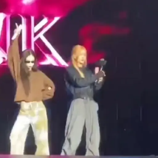 Chaennie BLACKPINK TOUR 4