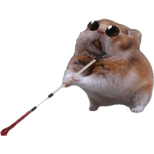 Cachorro  9