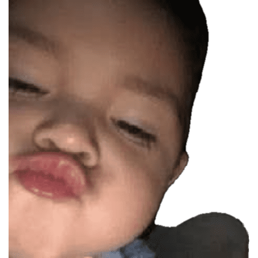 Cachorro  2