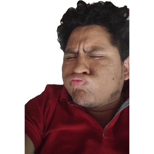 Cachorro  6