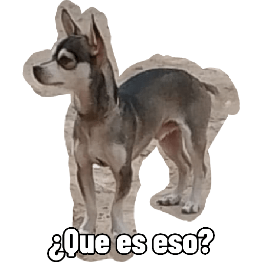 Mis mascotas 2 8
