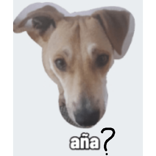 Mis mascotas 2 2