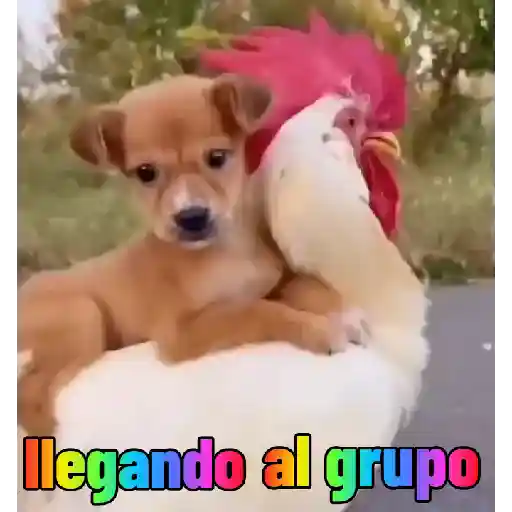 Sticker Image