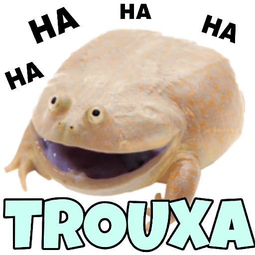 É MEME QUE VC QUER? 14