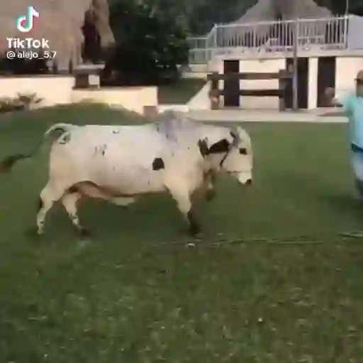 Jjjjj 6
