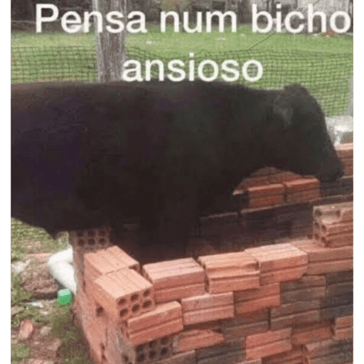 Aleatório 2