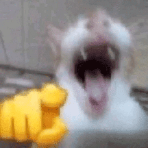 Aleatório 7