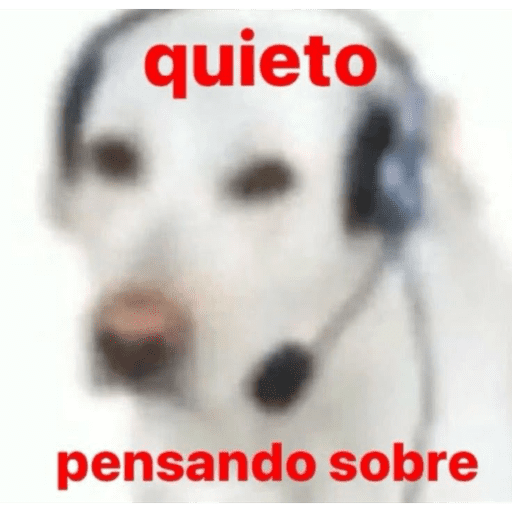 Aleatório 22