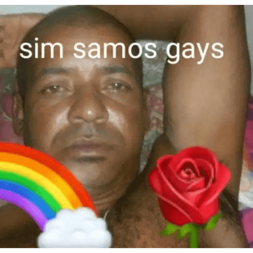 Aleatório 11