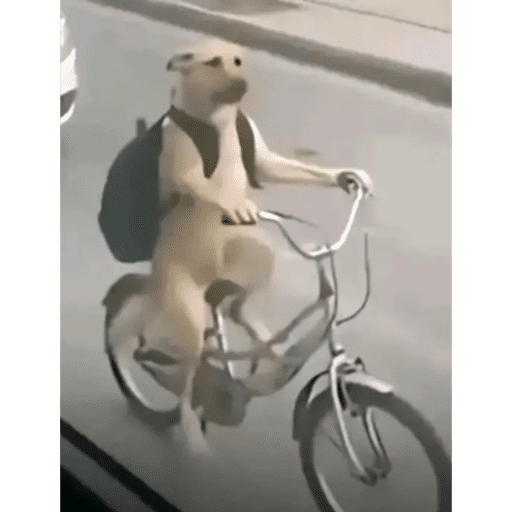 Random 11 2