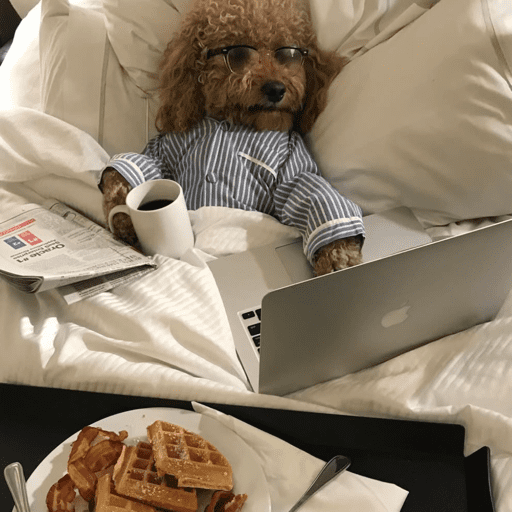 Doggo_14 2