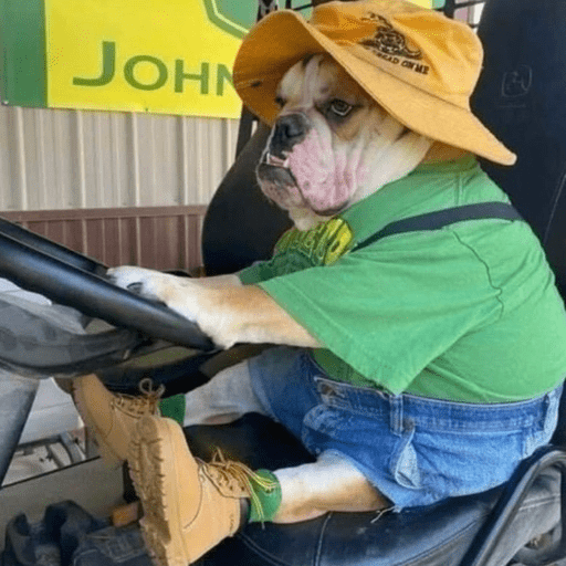 Doggo_14 22