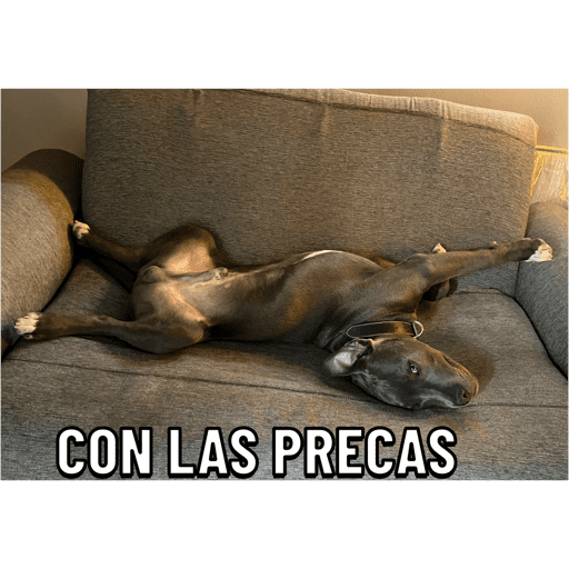 Mis pegatinas 2