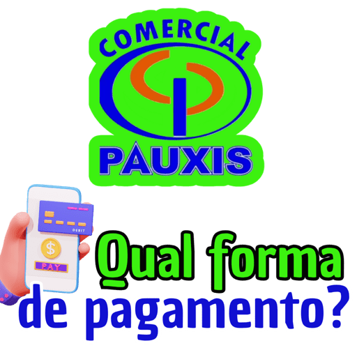 COMERCIAL PAUXIS 12