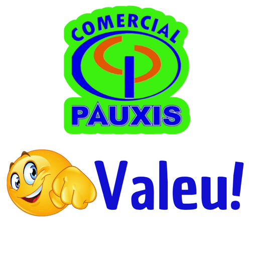 COMERCIAL PAUXIS 11