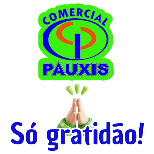 COMERCIAL PAUXIS 28
