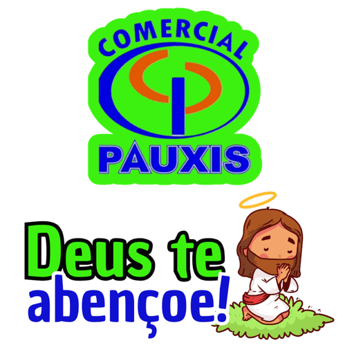 COMERCIAL PAUXIS 17