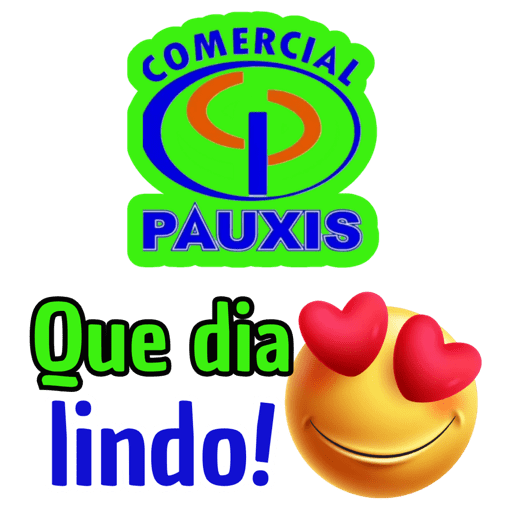 COMERCIAL PAUXIS 29