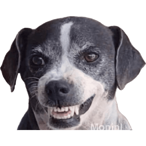 Sticker var4