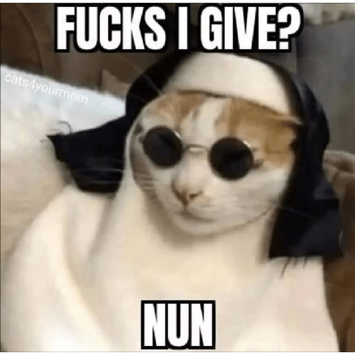 Cat memes 7