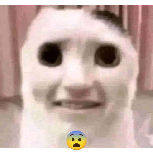 295919384.png