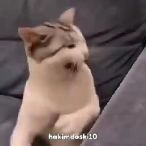 Samolepka