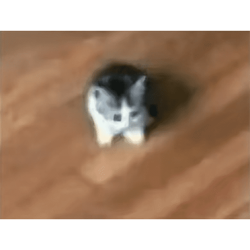 TikTok  16