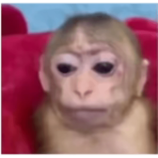 TikTok  26