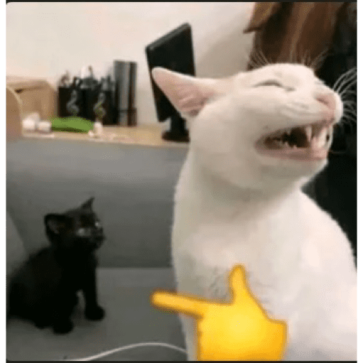 TikTok  15