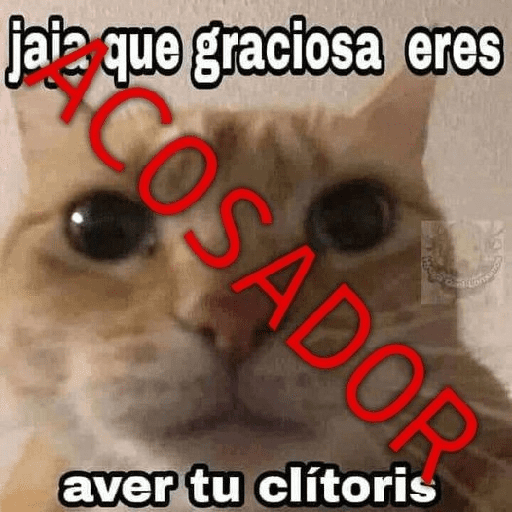 Texto Random Variado #3 🙈 4