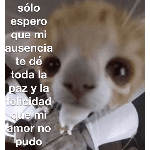 Texto Random Variado #3 🙈 10