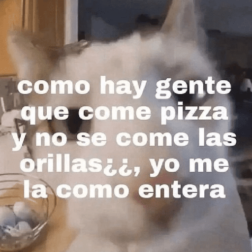 Texto Random Variado #3 🙈 1
