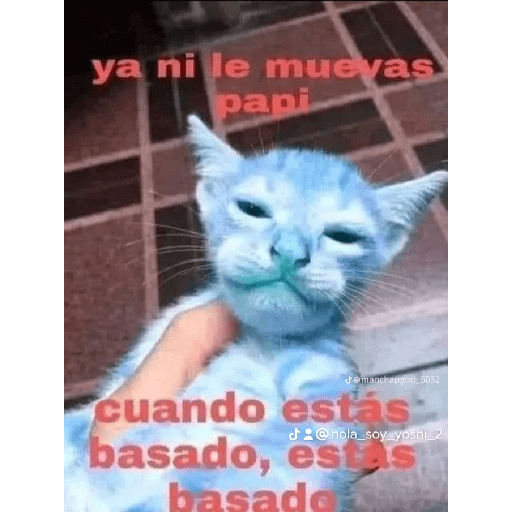 Nose XD 24