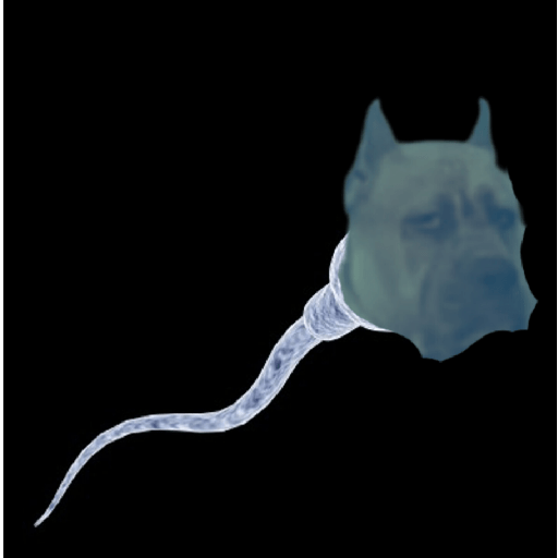 Nose XD 30