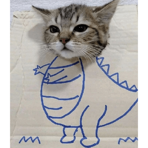 Gatinhos 15