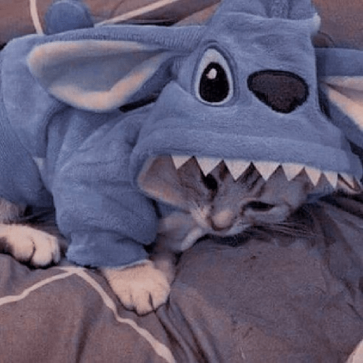 Gatinhos 4