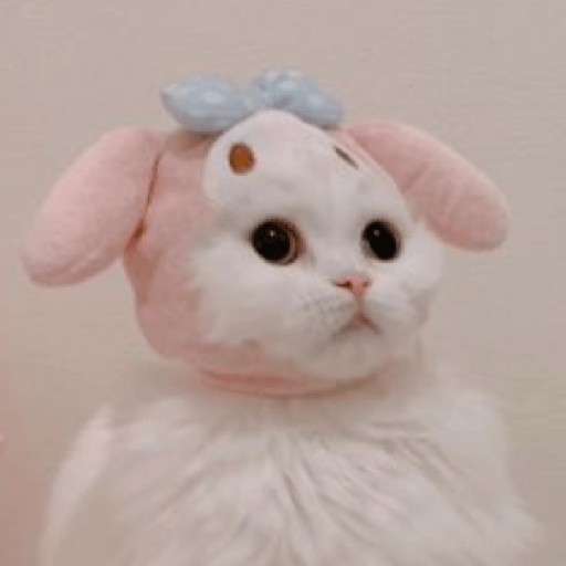 Gatinhos 8