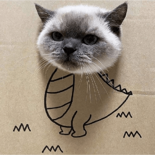 Gatinhos 16