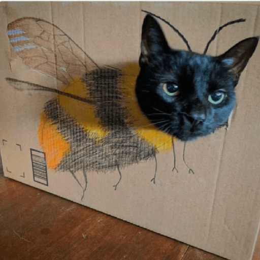Gatinhos 14