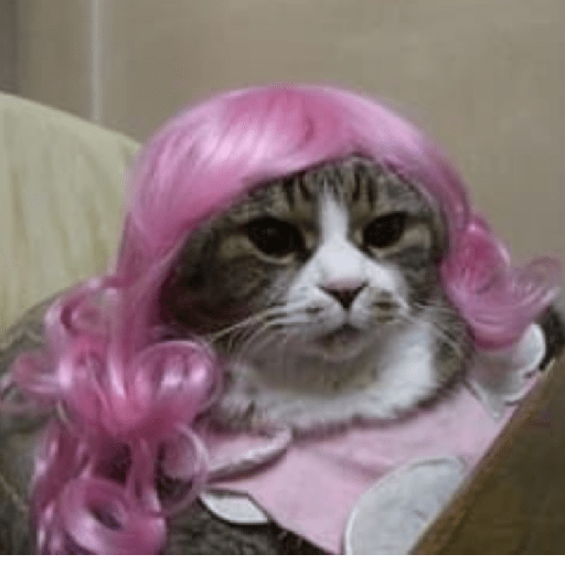 Gatinhos 9